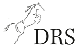 Drammen Rideskole