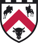 Boleyn Equestrian, Back to Basic Rideskole