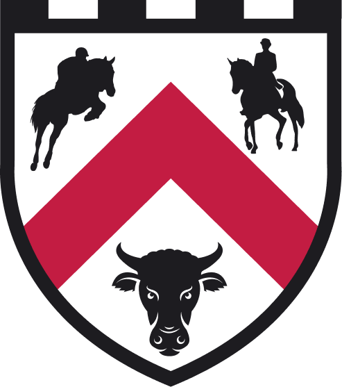Boleyn Equestrian - Back to Basics Rideskole logo